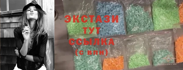 молекула духа Ельня