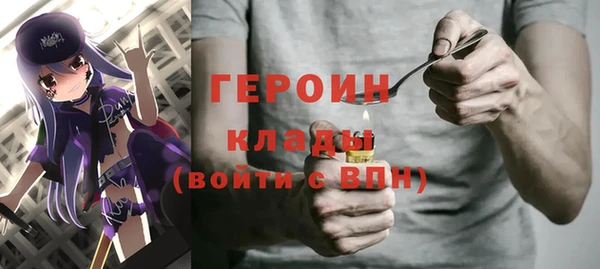 индика Дмитровск