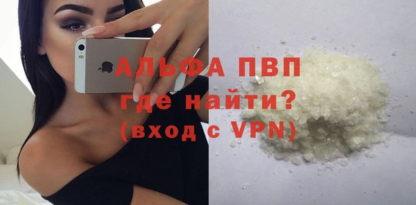молекула духа Ельня
