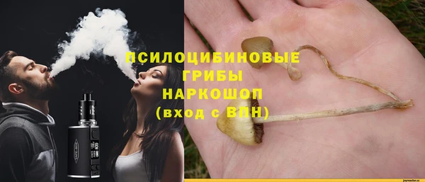 индика Дмитровск