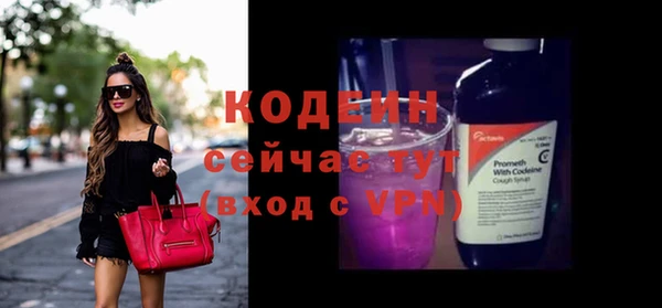 МДПВ Елизово