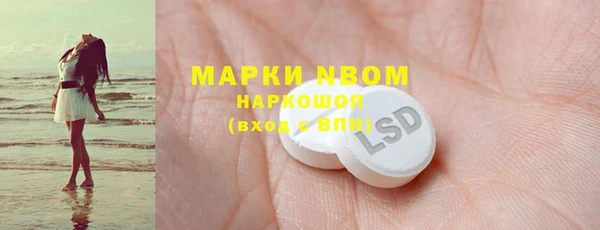 индика Дмитровск