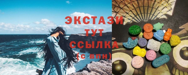 молекула духа Ельня