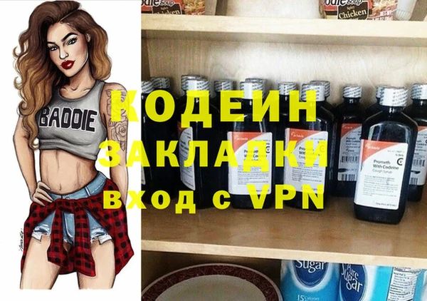 молекула духа Ельня