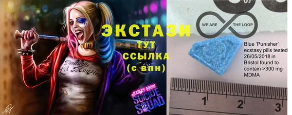 молекула духа Ельня