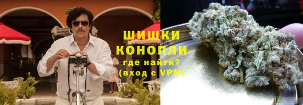 молекула духа Ельня