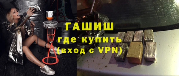 индика Дмитровск