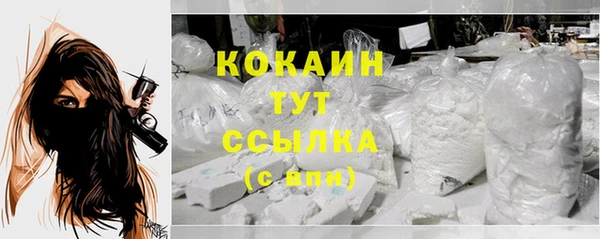 МДПВ Елизово